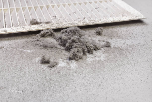 Best Air Duct Cleaning Near Me  in Homestead Meadows North, TX