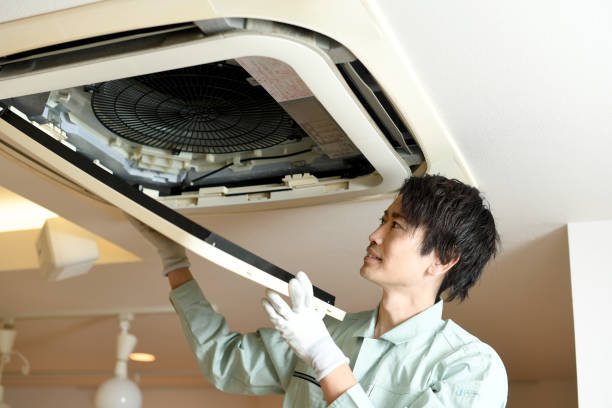 Best Local Air Duct Cleaning Services  in Homestead Meadows North, TX